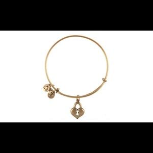 NWOT Alex and Ani Key to My Heart Lock